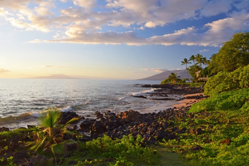 Maui Visitors Guide