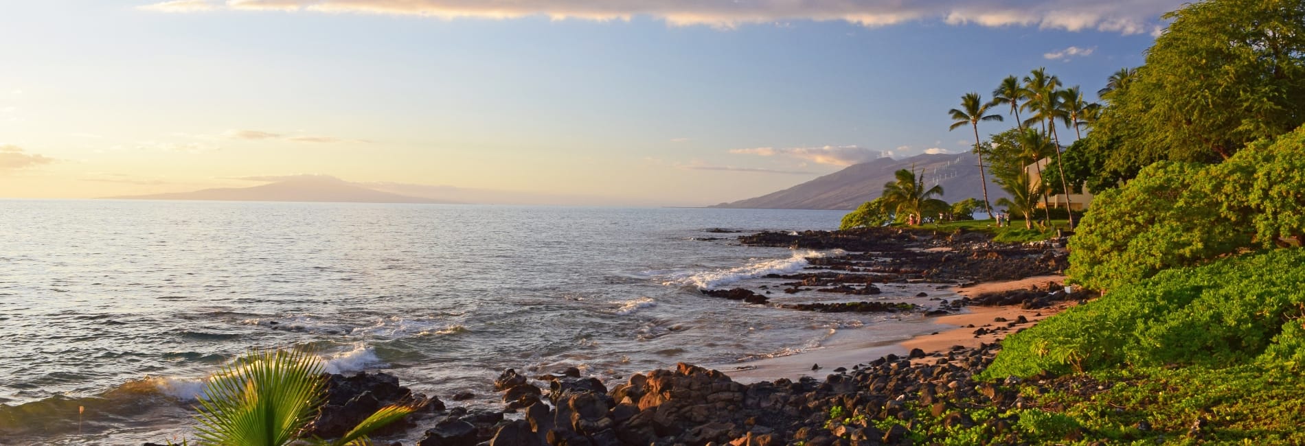 Maui Visitors Guide