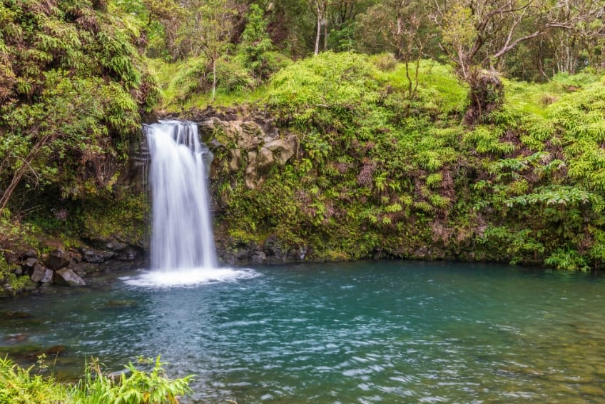 Maui Visitors Guide