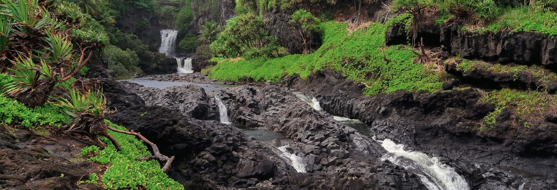 Maui Visitors Guide