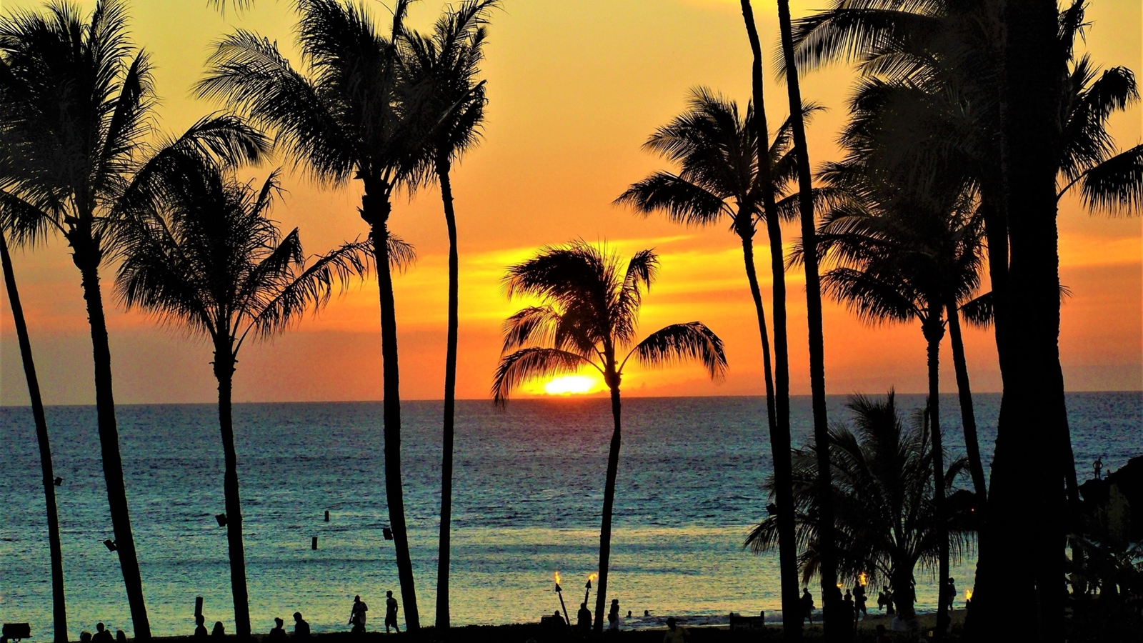 Island Life Hawaii | The Best Of Hawaii