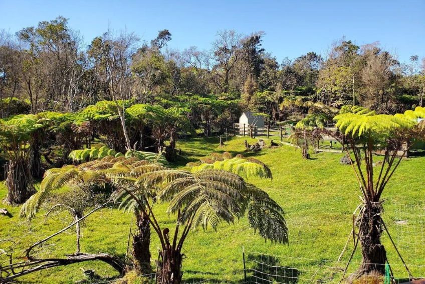 Big Island of Hawaii Hotels Guide