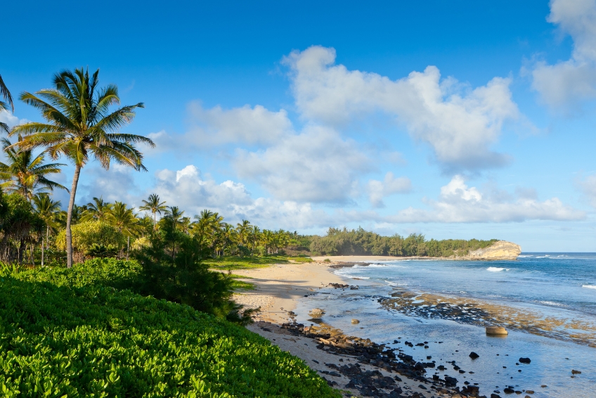 Kauai Visitors Guide