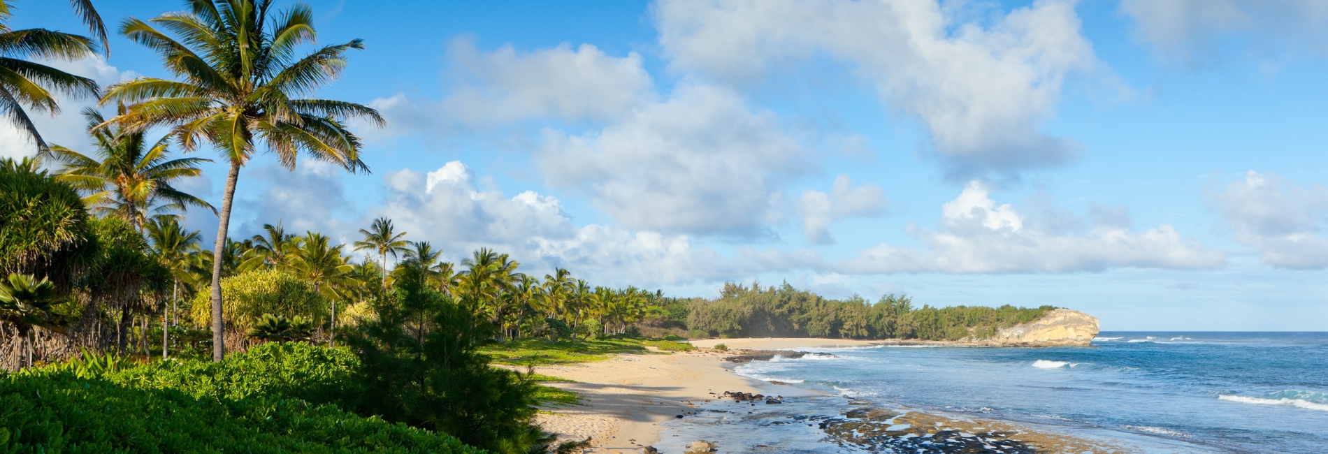 Kauai Visitors Guide