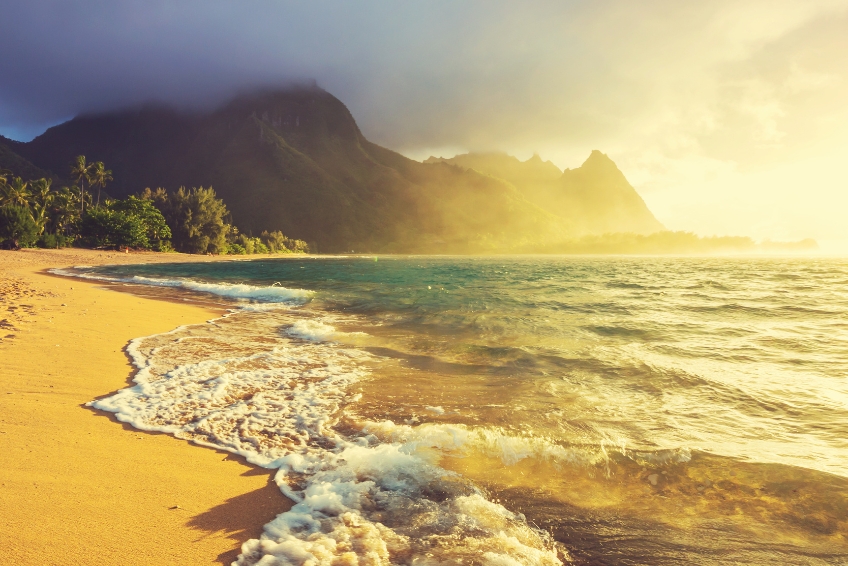 Kauai Visitors Guide