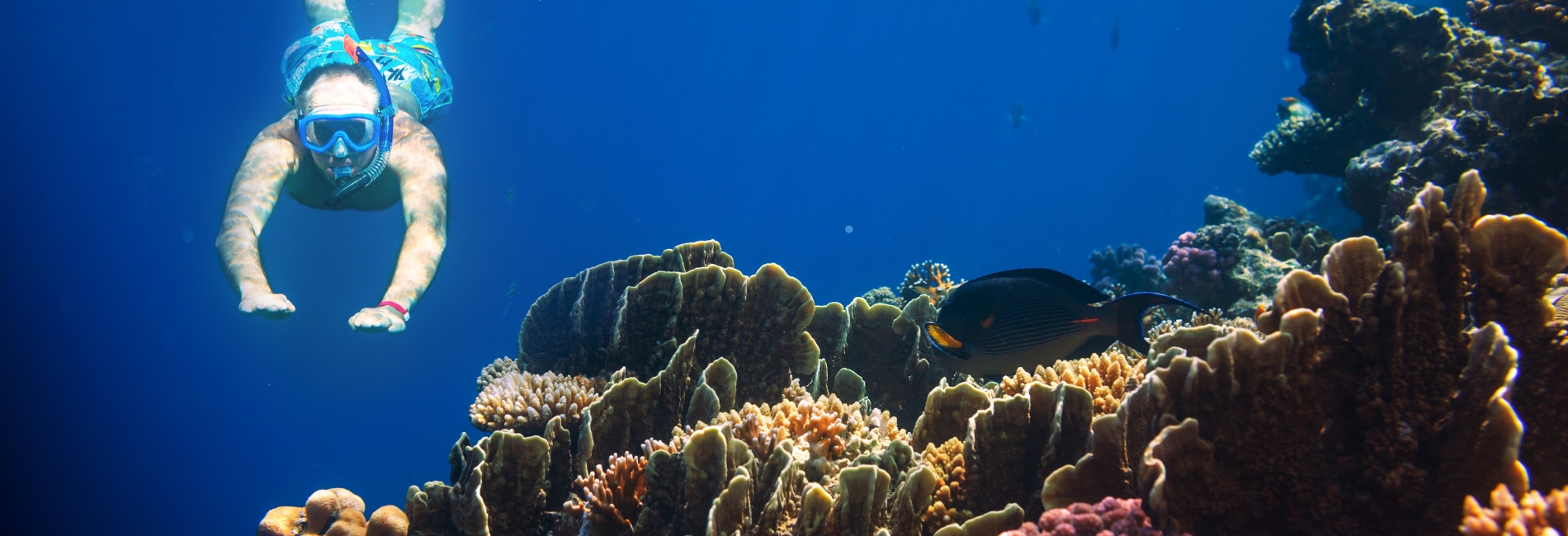 Kauai Visitors Guide