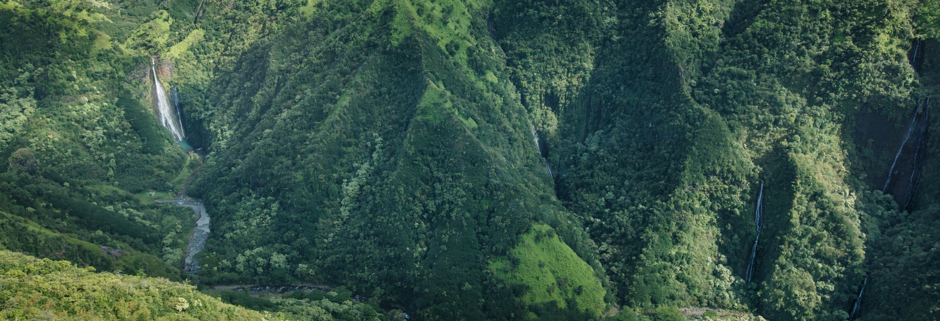 Kauai Visitors Guide