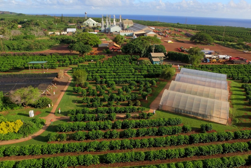 Kauai Visitors Guide