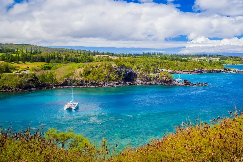 Maui Snorkeling: Honolua Bay