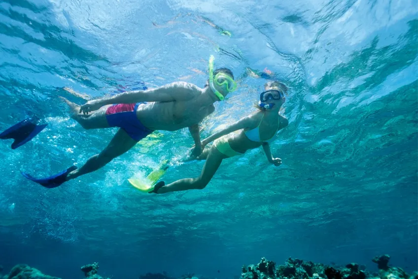 Maui Snorkeling Guide for August 2024 Island Life Hawaii
