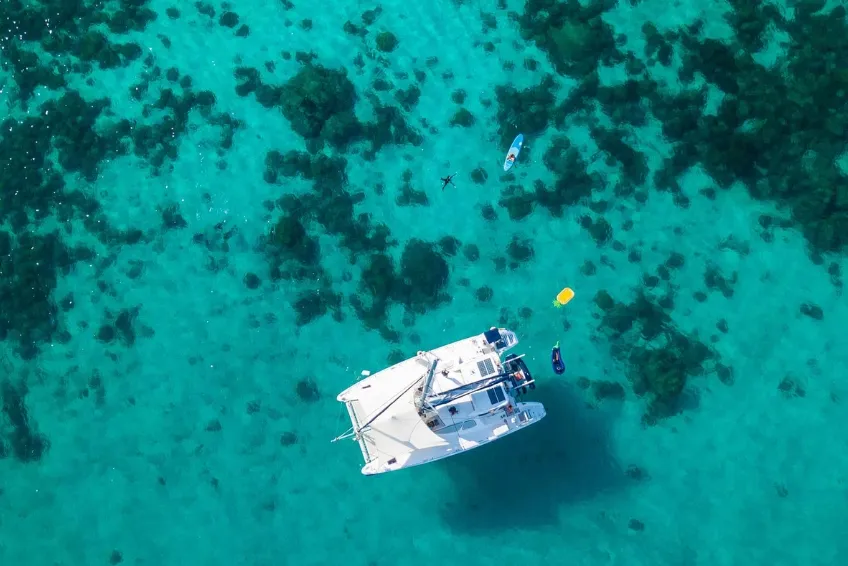 Maui Snorkeling Tour