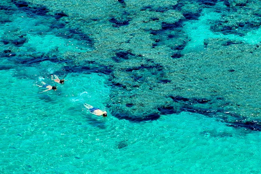 Maui Snorkeling