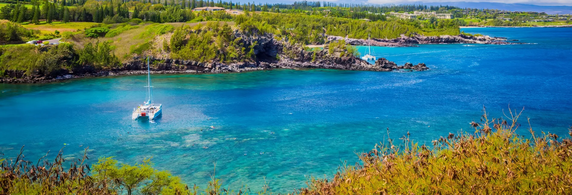 Maui Snorkeling: Honolua Bay
