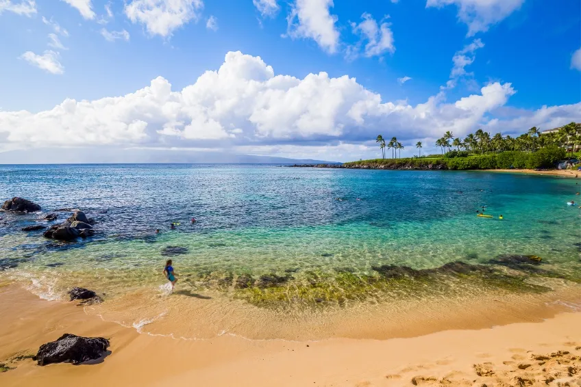 Maui Snorkeling: Kapalua Bay