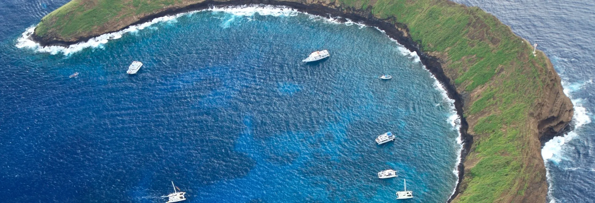 Maui Snorkeling: Molokini Crater