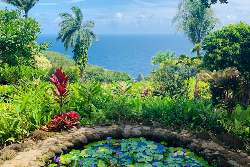 Road To Hana Guide - Garden Of Eden