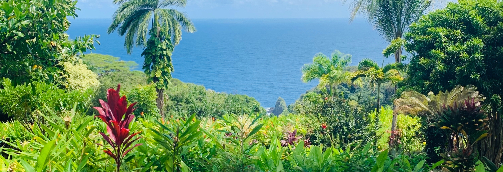 Road To Hana Guide - Garden Of Eden