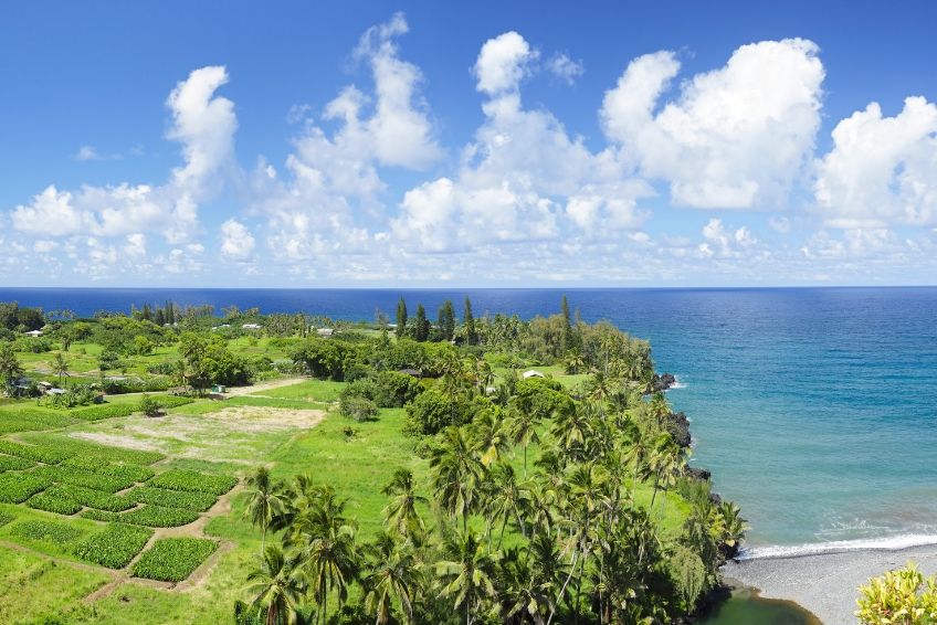 Road To Hana Guide - Keanae Peninsula