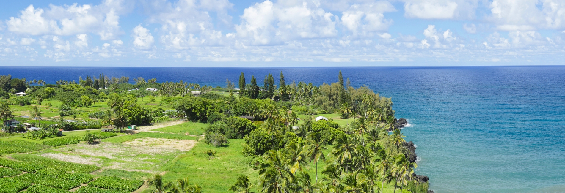 Road To Hana Guide - Keanae Peninsula