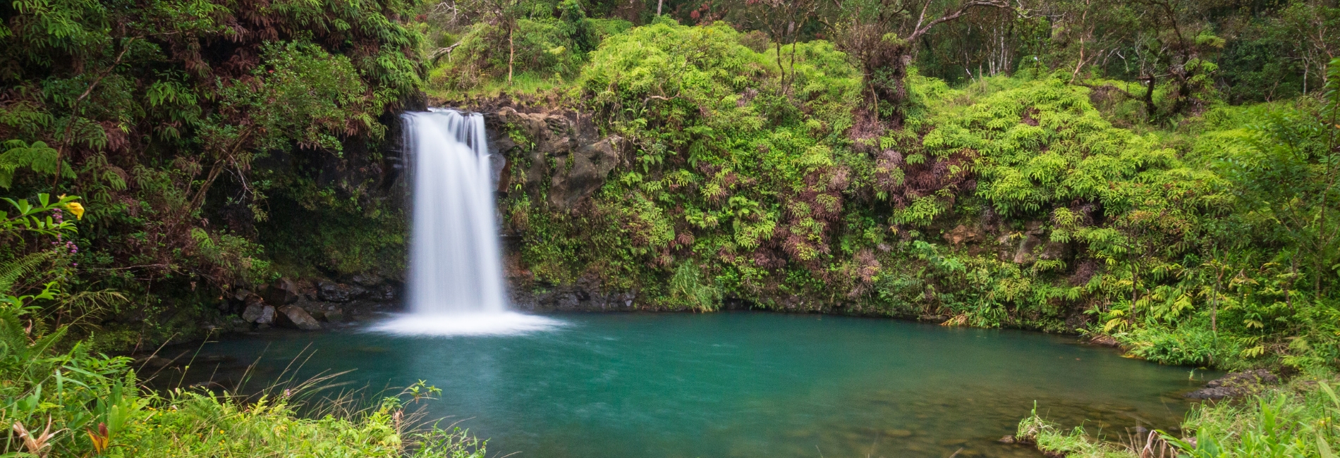 Road To Hana Guide - Puaa Kaa State Park