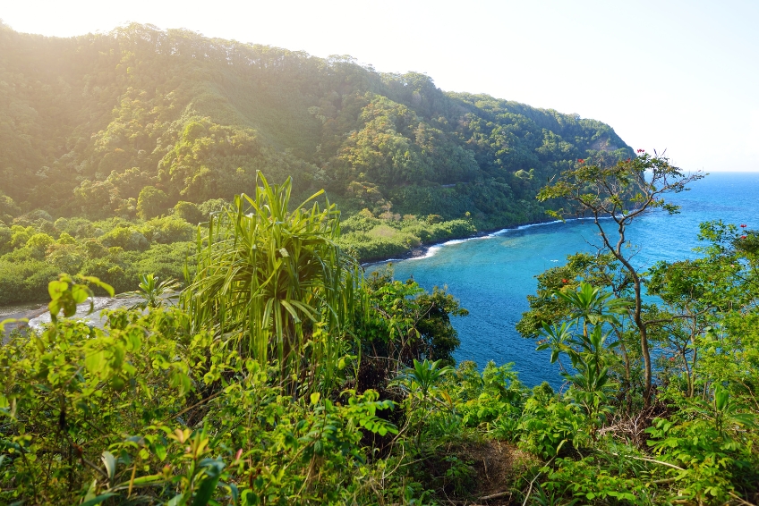 The 8 Best Stops On The Road to Hana