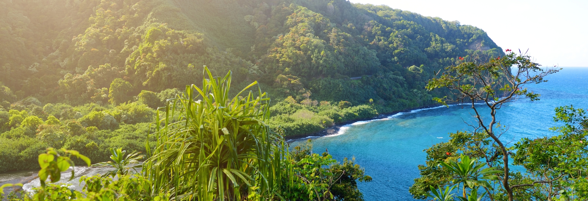 The 8 Best Stops On The Road to Hana