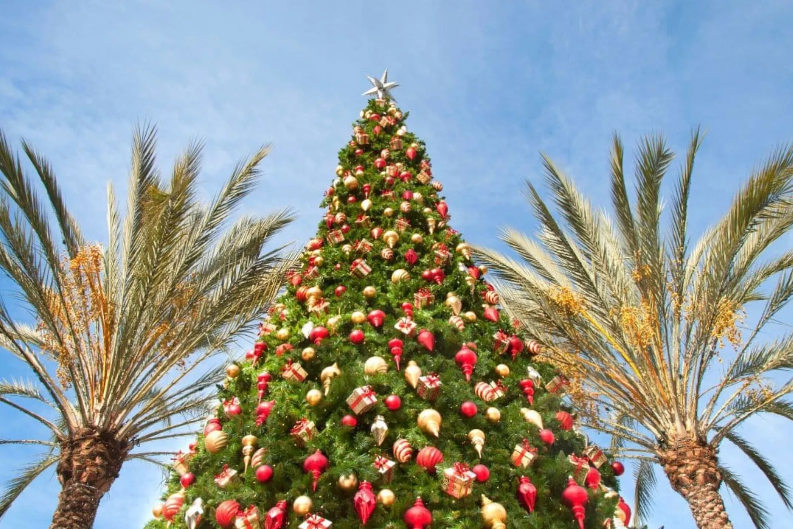 The Best Time To Visit Hawaii A Month By Month Guide