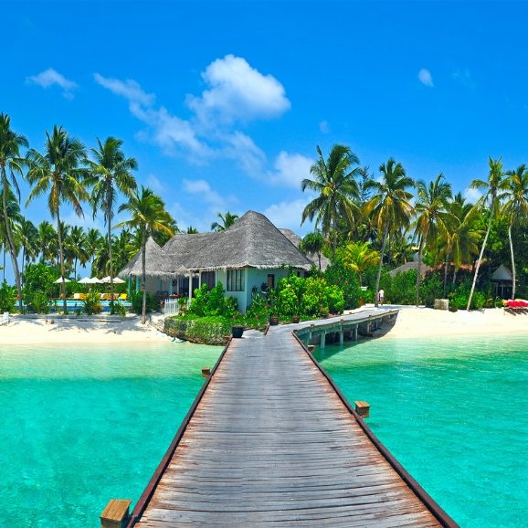 Island Life Hawaii About Us Island Life Hawaii About Us