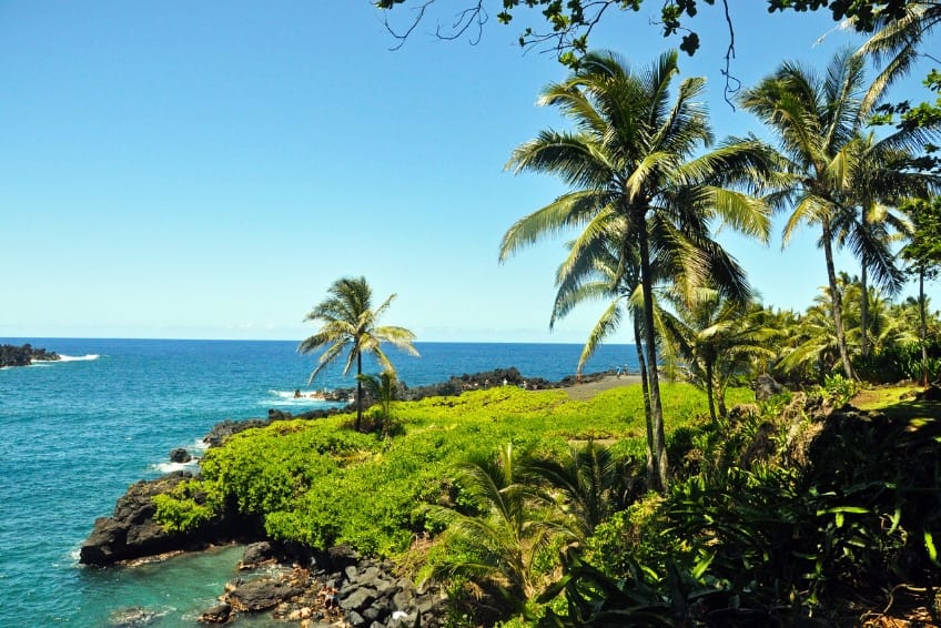 Tropical coastline view of a black sand beach along the Road to Hana in Maui featuring palm trees, vibrant green foliage, volcanic rocks, and turquoise ocean waves