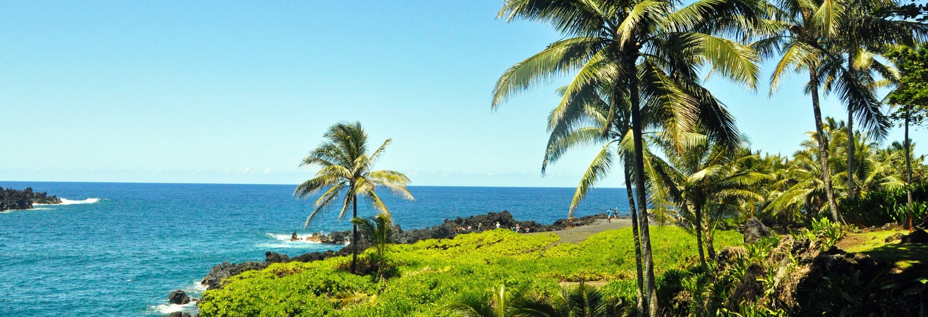 Scenic black sand beach along the Road to Hana in Maui, Hawaii with swaying palm trees, lush green vegetation, volcanic lava rocks, and deep blue Pacific Ocean